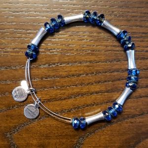 Alex and Ani bracelet
